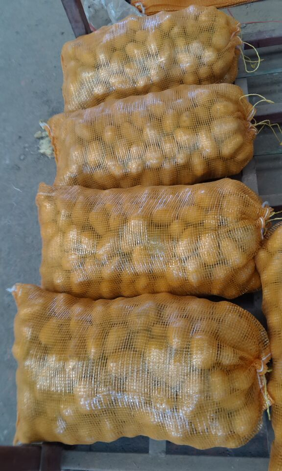 New Crop Fresh Potato