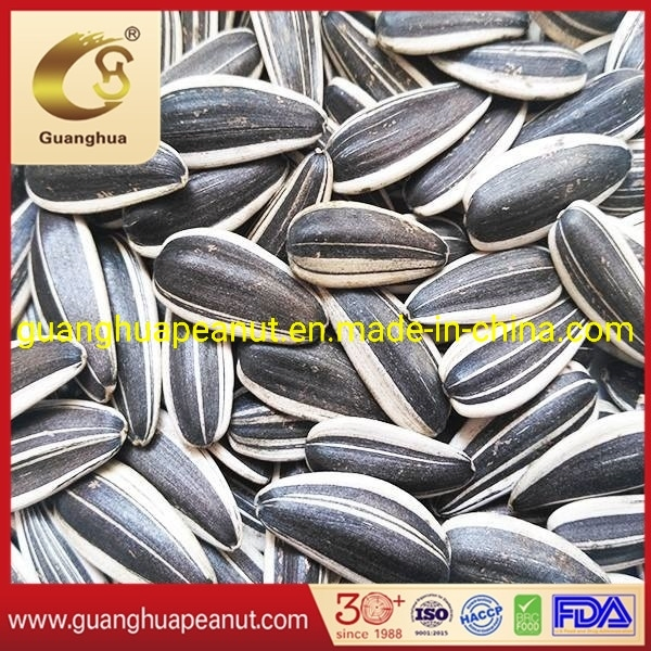 New Crop Good Quality Sunflower Seeds 361