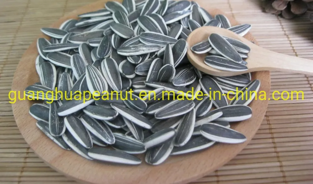 New Crop Good Quality Sunflower Seeds 363