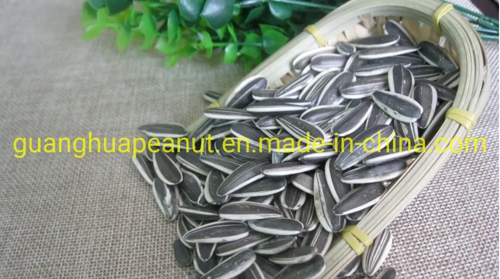 New Crop Good Quality Sunflower Seeds 363
