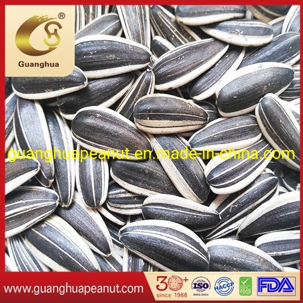 New Crop Good Quality Sunflower Seeds 5009