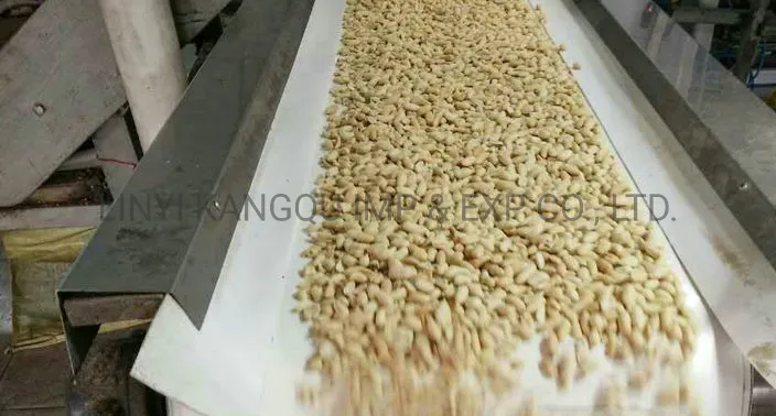 New Crop High Quality Blanched Peanut for Sale