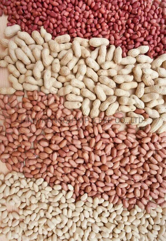 New Crop High Quality Blanched Peanut for Sale
