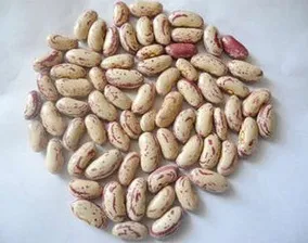 New Crop Light Speckled Kidney Beans (Long Shape)