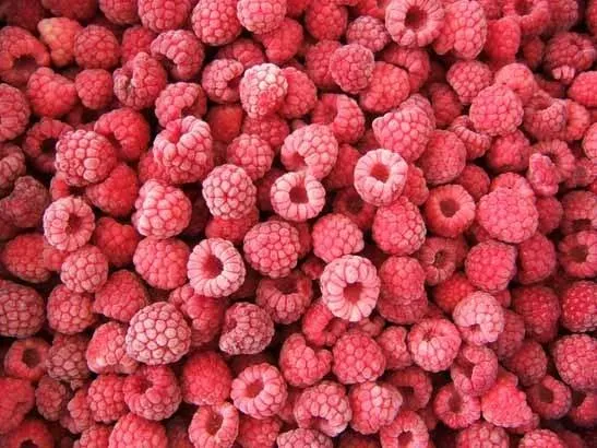 New Crop Season Frozen Raspberry IQF Fruits and Frozen Raspberry