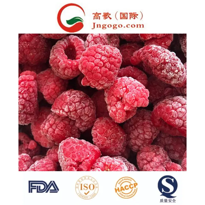 New Crop Season Frozen Raspberry IQF Fruits and Frozen Raspberry