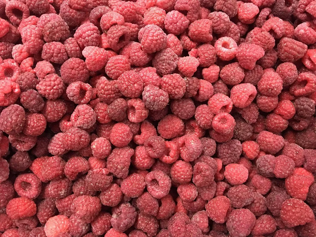 New Crop Season Frozen Raspberry IQF Fruits and Frozen Raspberry