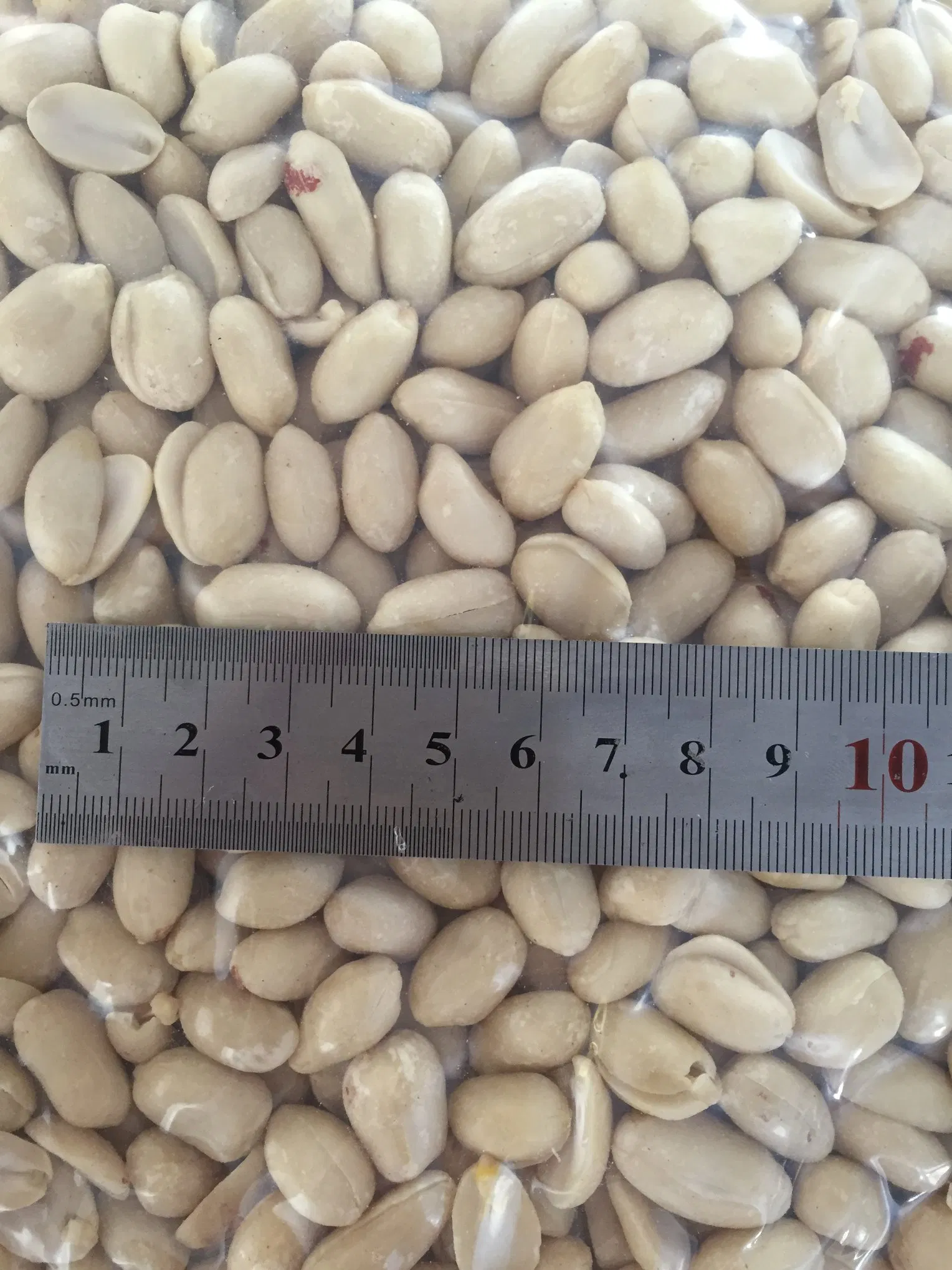 New Crop White Blanched Groundnut Without Red Skin
