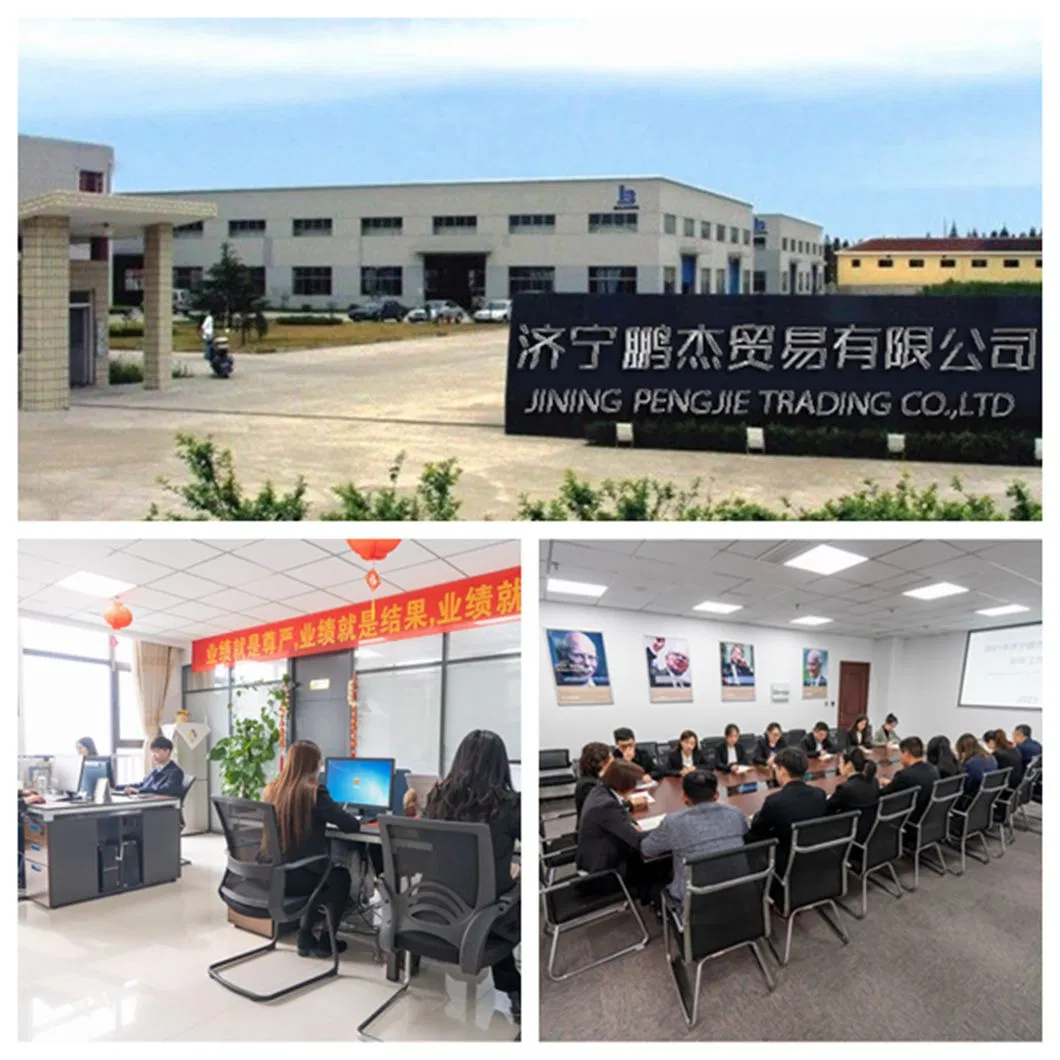 Healthy Botany Sweet Yellow Corn COB (double) for Office Workers