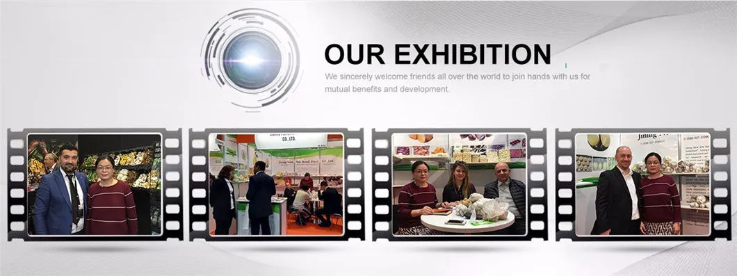 New Crop Fresh Normal White Chinese Shandong Garlic