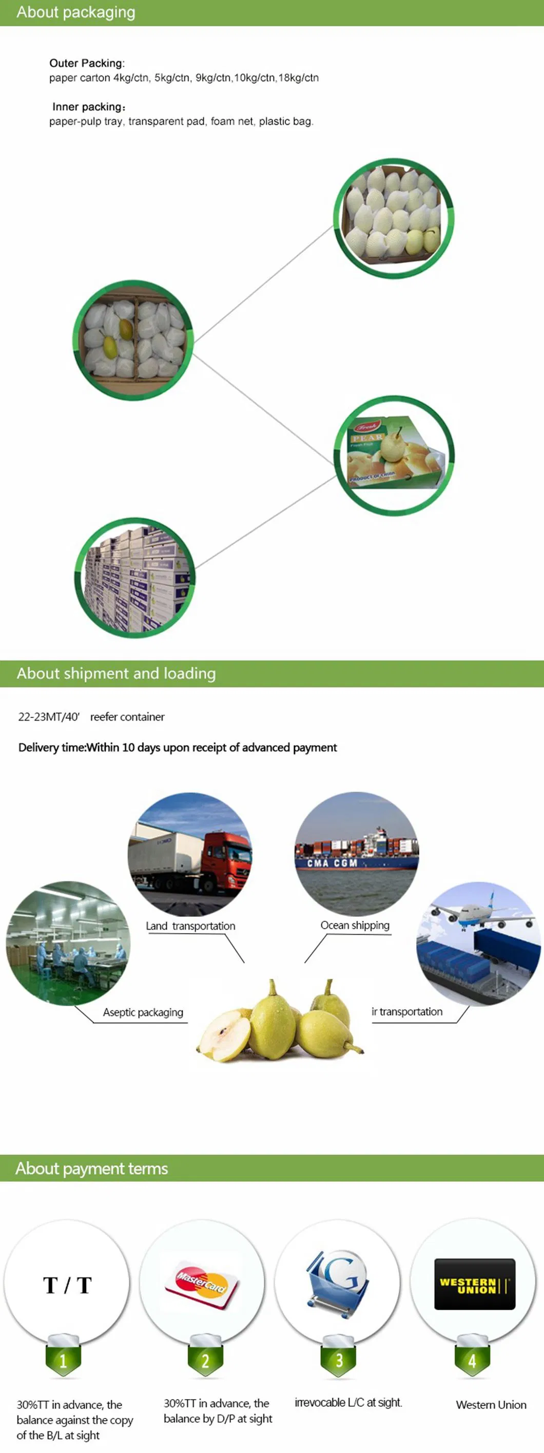 New Season Green Shandong Pear Fresh Crown Pear Ya Pear