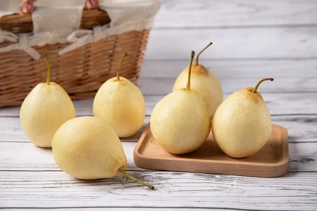 New Season Green Shandong Pear Fresh Crown Pear Ya Pear