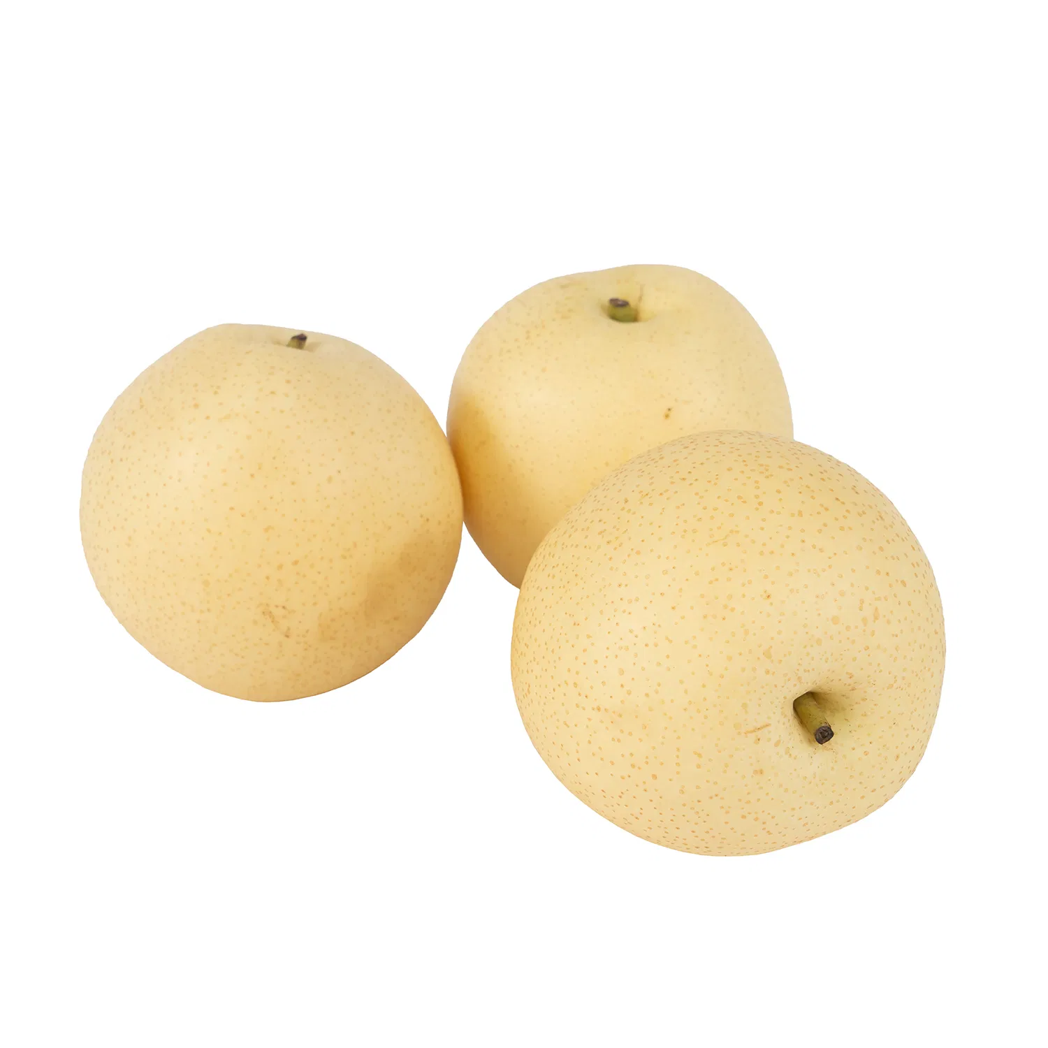 New Season Green Shandong Pear Fresh Crown Pear Ya Pear