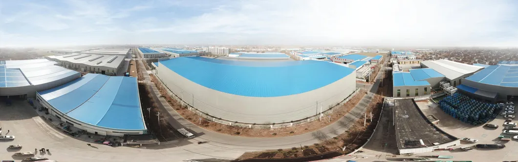 Newest Crop 80p/88p/100p/113p Gannan Navel Orange