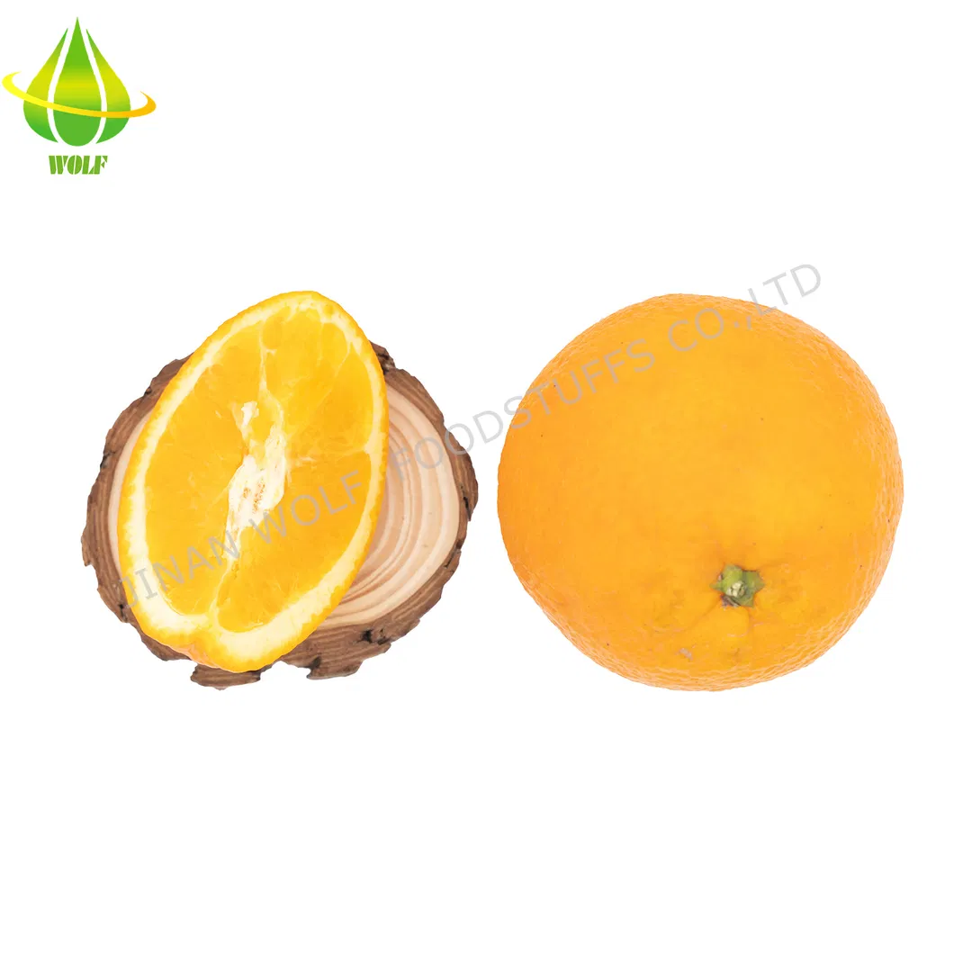 Newest Crop 80p/88p/100p/113p Gannan Navel Orange
