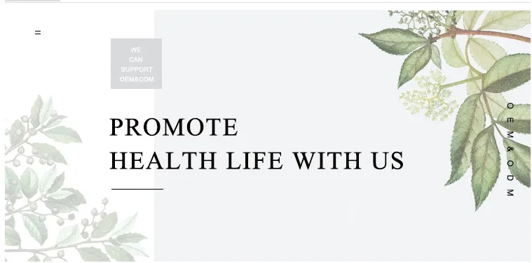 OEM Broadleaf Holly Leaf Heart Protection Kuding Tea