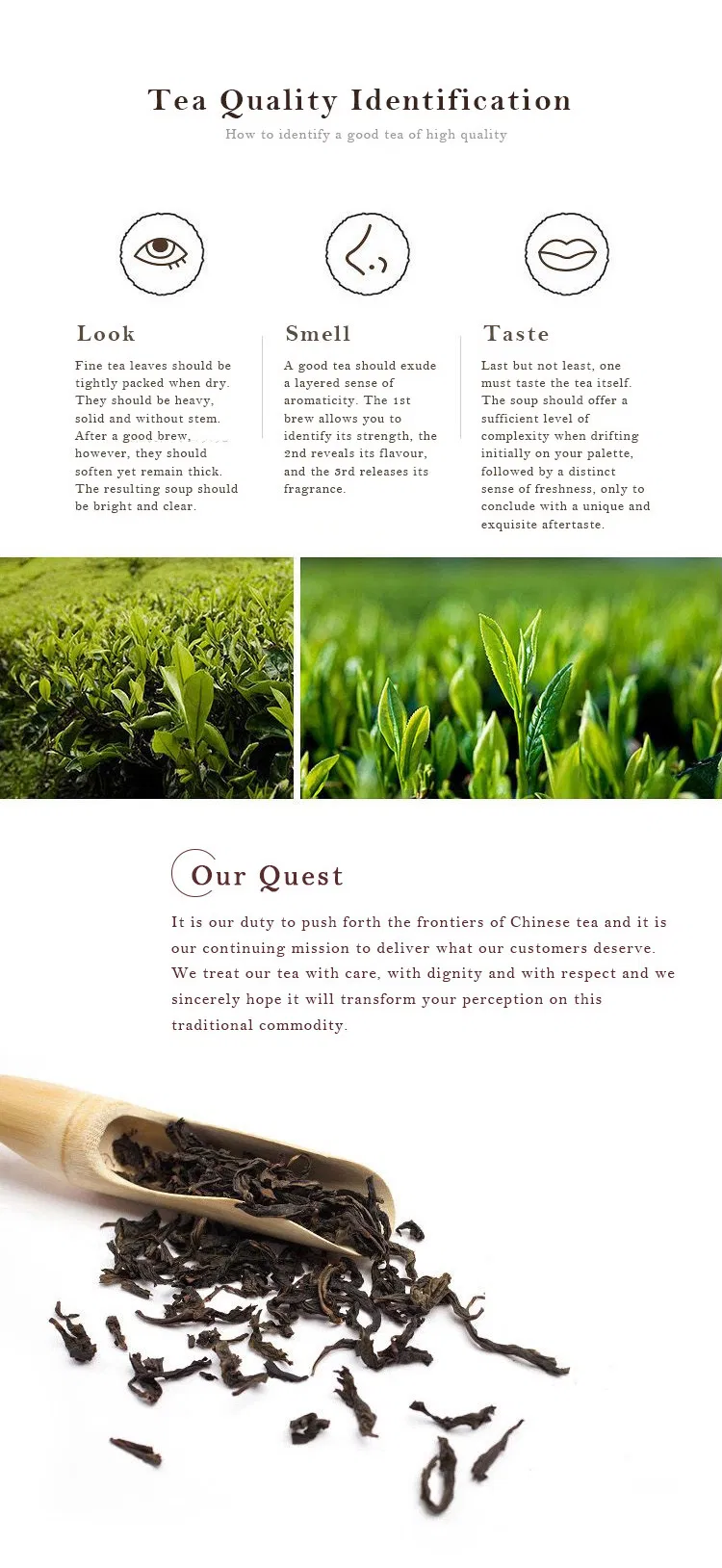 OEM Logo Packing Black Tea Leaves Fresh Loose Black Tea Lapsang Souchong Loose Black Tea