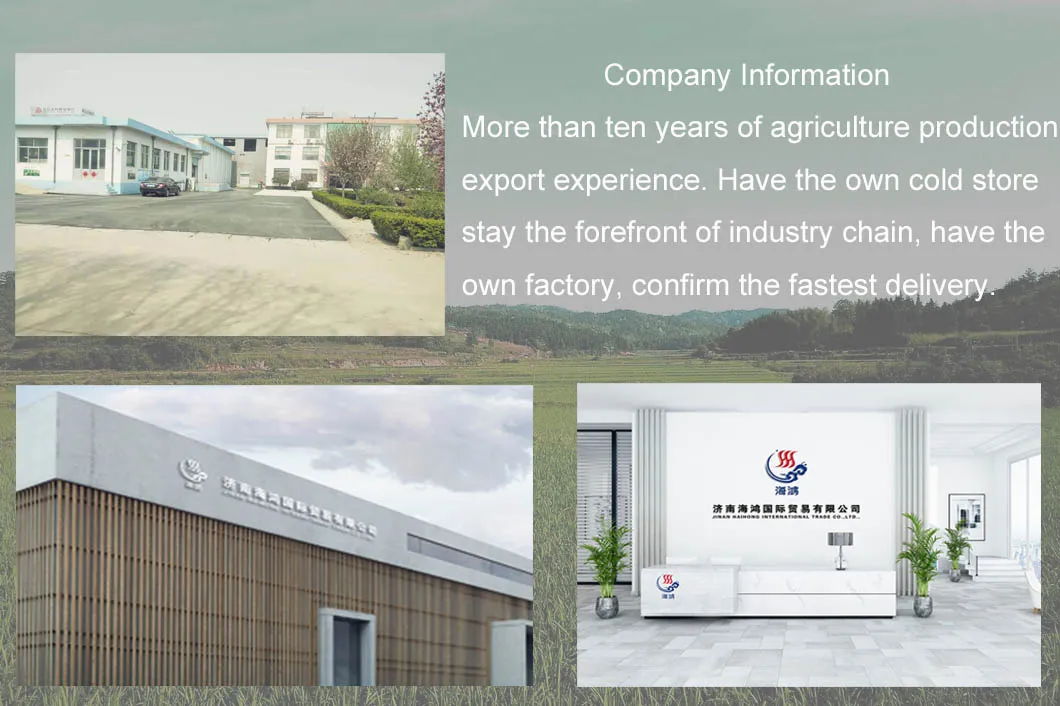 Organic Fresh Ginge for Wholesale with Good Quality 100g and up