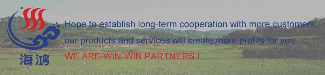 Organic Fresh Ginge for Wholesale with Good Quality 100g and up