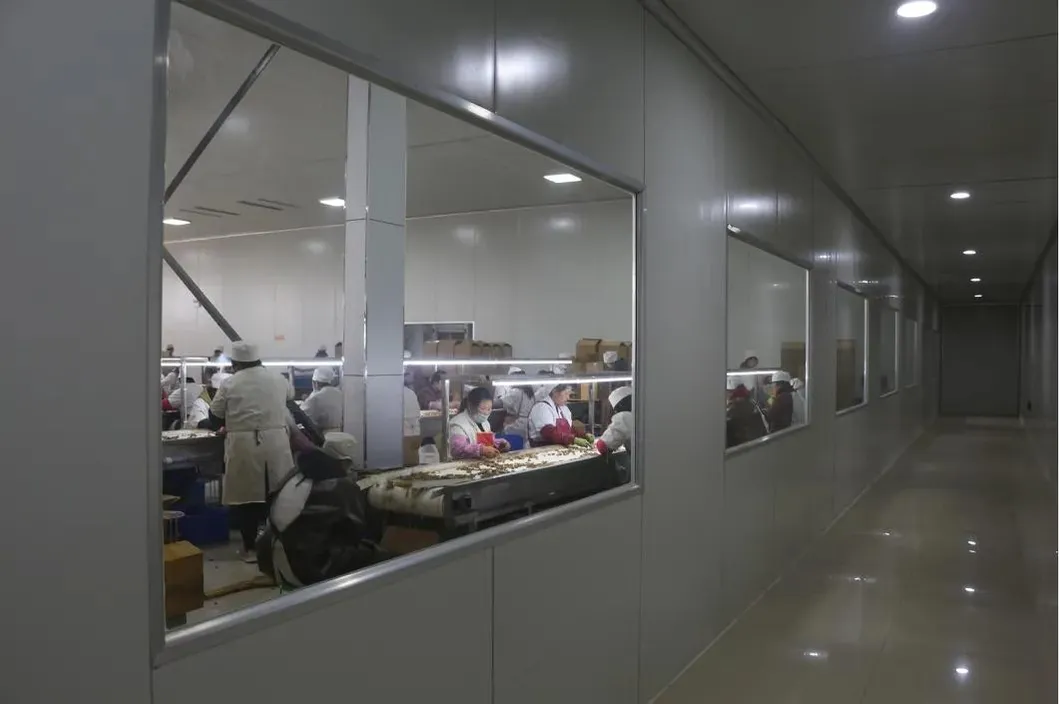 Organic Walnut Bulk Walnut Prices in California