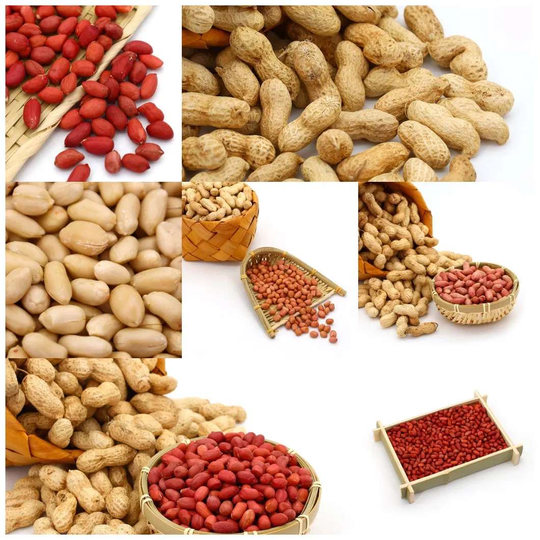 Peanut Kernels Baisha Type with High Quality Packed by Junan Kaibing