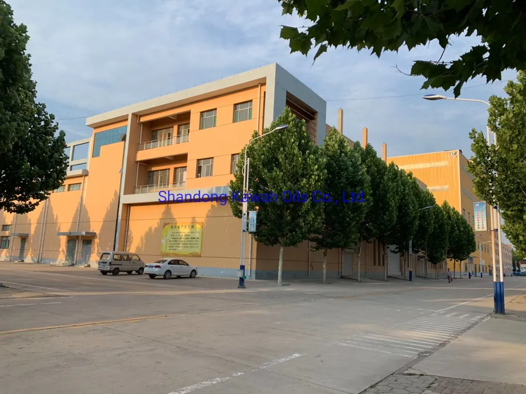 Plant Protein Wheat Protein Vital Wheat Gluten