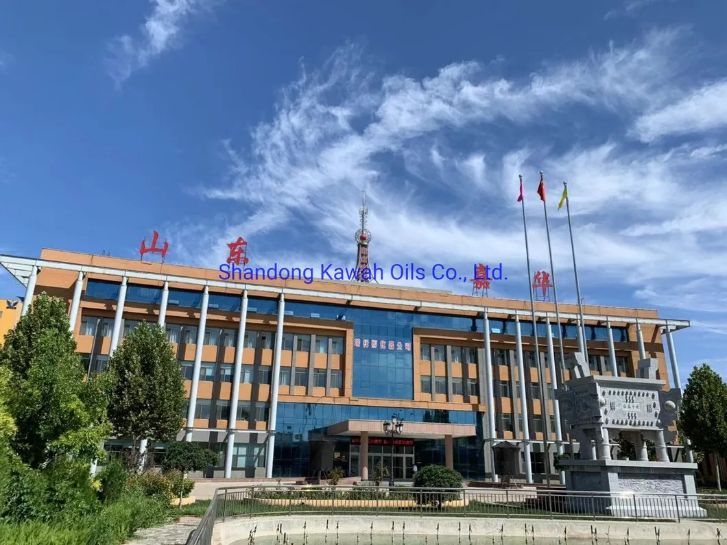 Plant Protein Wheat Protein Vital Wheat Gluten