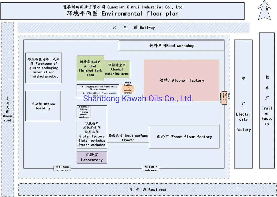 Plant Protein Wheat Protein Vital Wheat Gluten