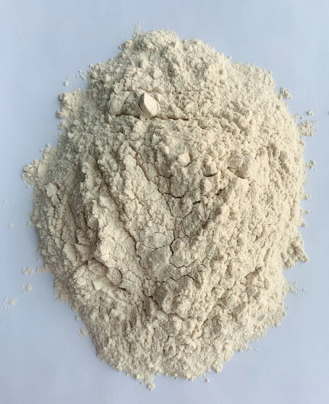 Plant Protein Wheat Protein Vital Wheat Gluten