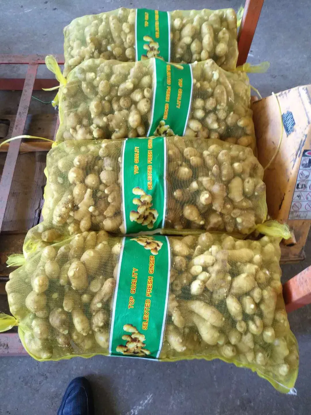 Price of Bulk Wholesale Fresh Ginger Root in China