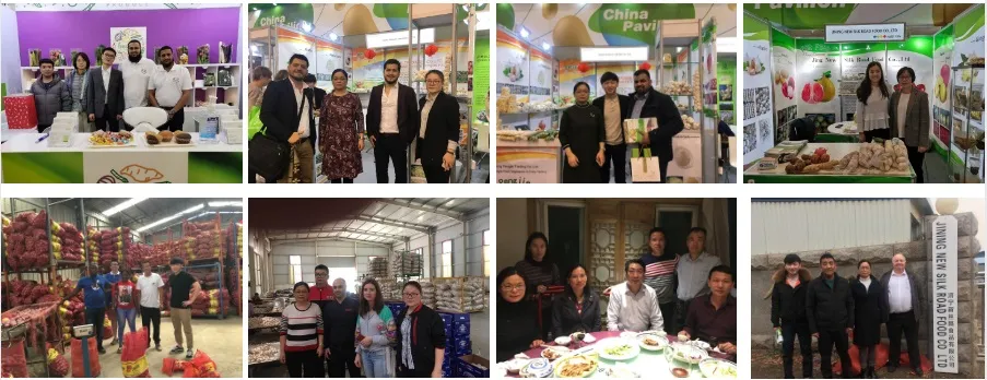 Price of Bulk Wholesale Fresh Ginger Root in China