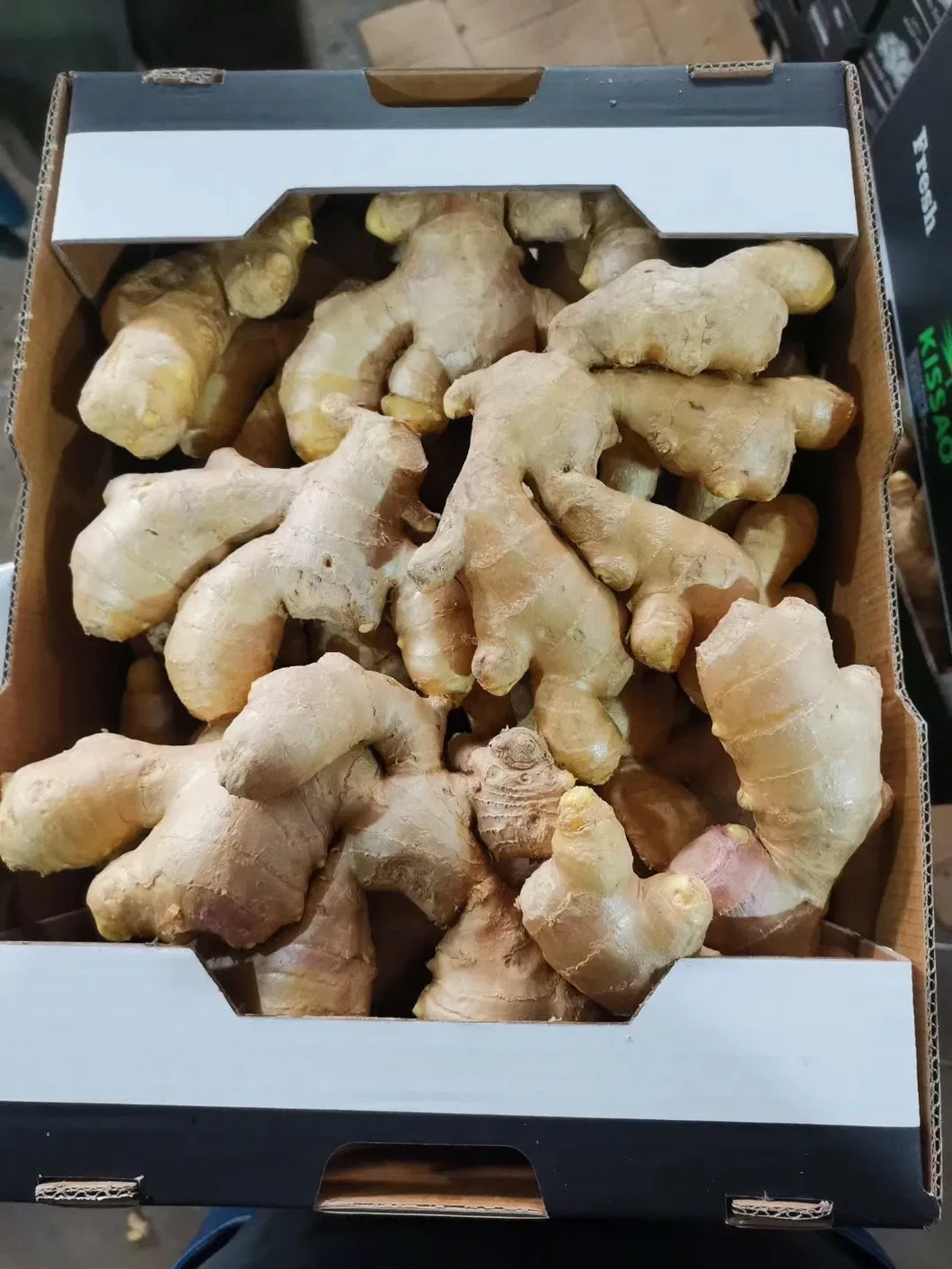 Price of Bulk Wholesale Fresh Ginger Root in China