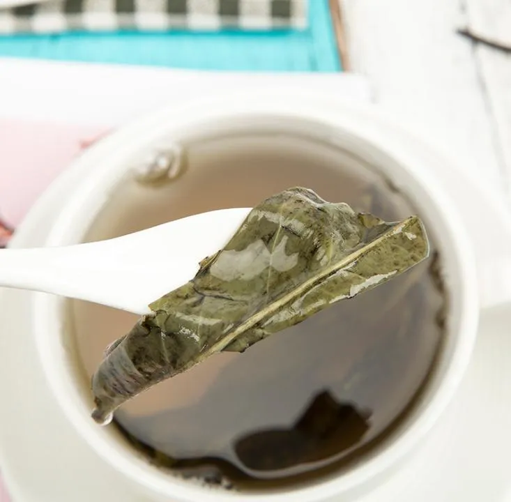 Private Label Herbal Brodslea Holly Leaf Kuding Tea for Heat Protection