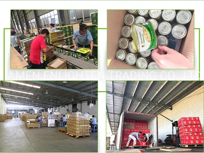 Promotional Top Quality Canned Pear
