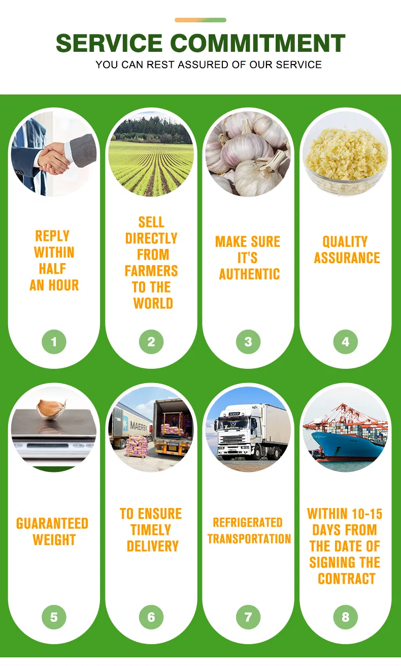 Pure White/Normal White Garlic/Whole Garlic with Competitive Price Garlic