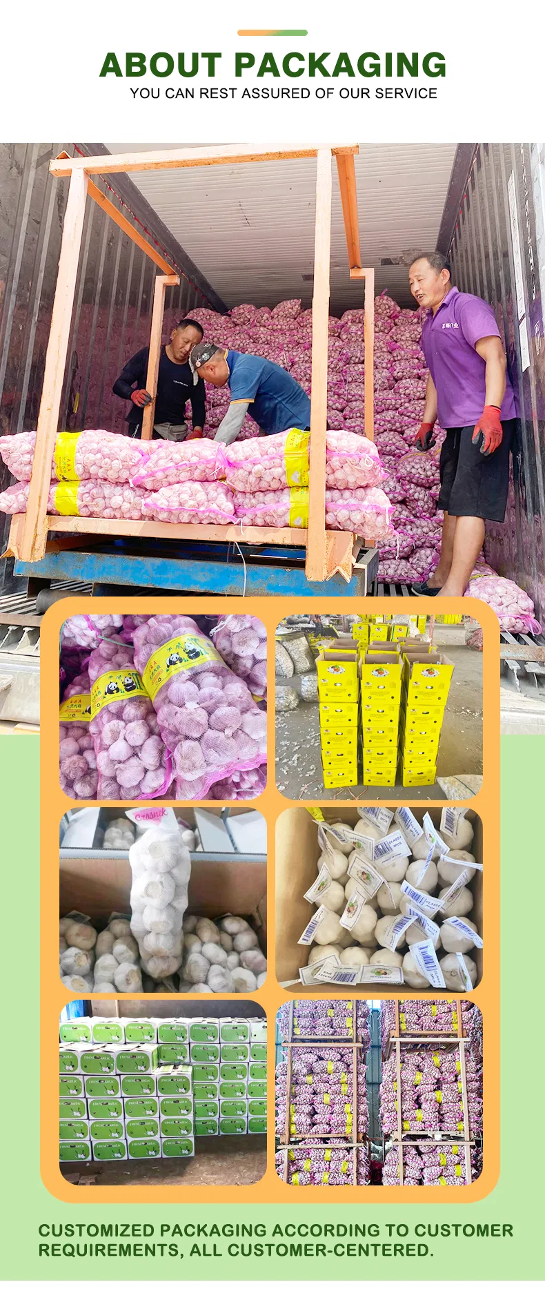 Pure White/Normal White Garlic/Whole Garlic with Competitive Price Garlic