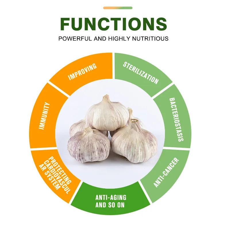 Pure White/Normal White Garlic/Whole Garlic with Competitive Price Garlic