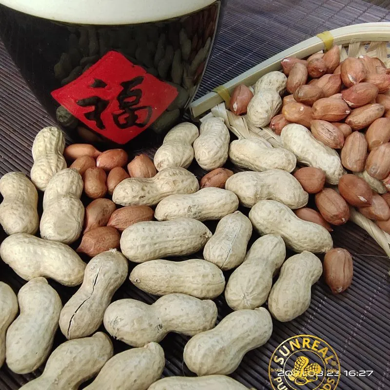 Raw Peanut Kernels/Hsuji/Fine Packing/Multipurpose/Good Price/New Crop 70/80