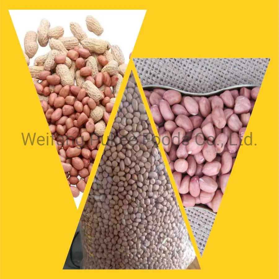Raw Peanut Kernels/Hsuji/Fine Packing/Multipurpose/Good Price/New Crop 70/80