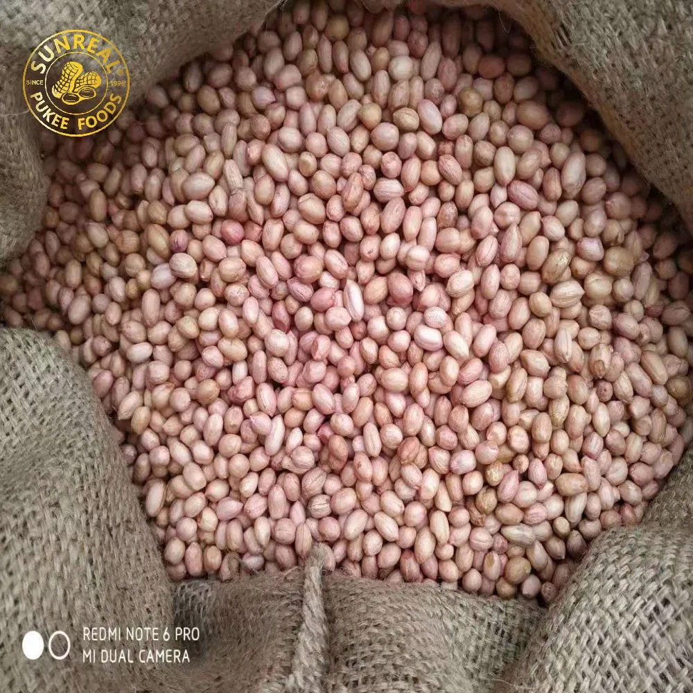 Raw Peanut Kernels/Hsuji/Fine Packing/Multipurpose/Good Price/New Crop 70/80