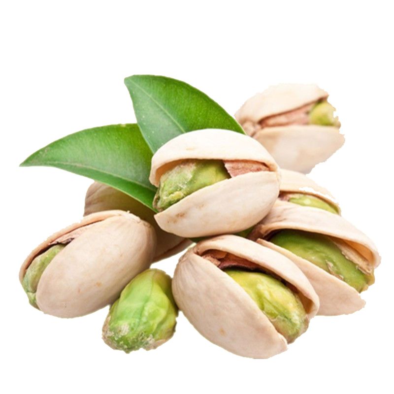 Raw Pistachios with Shell in Bulk on Hot Selling