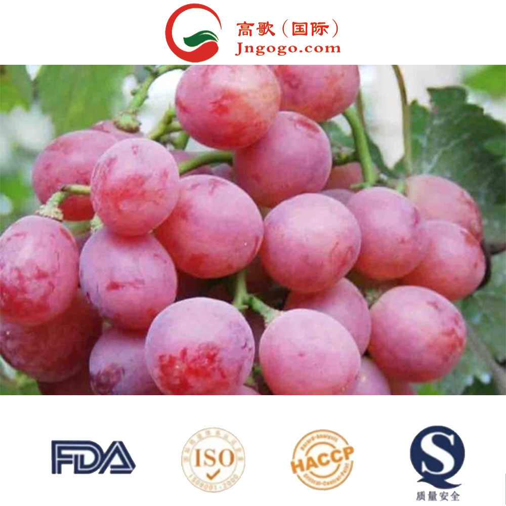 Red Delicious Fresh Fruit Organic Fresh Grape