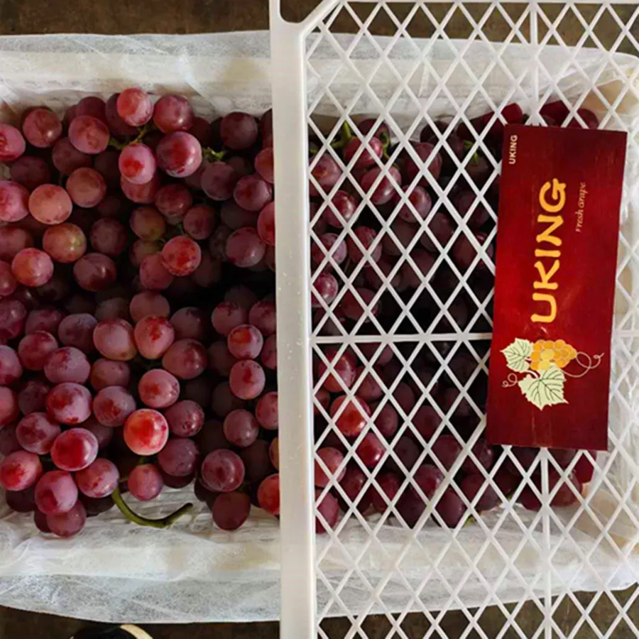 Red Grape