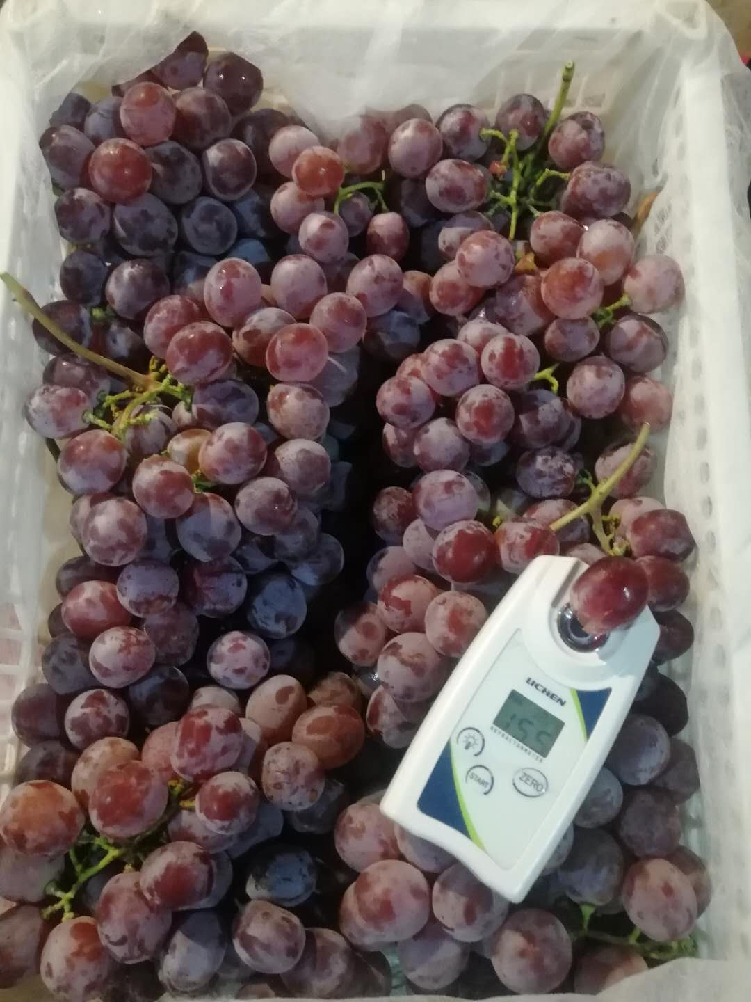 Red Grapes