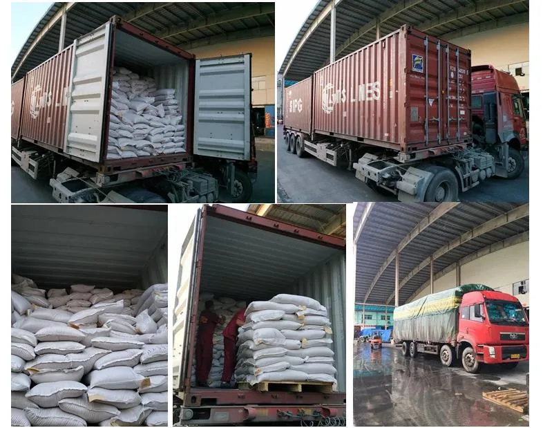Red Peanuts /Java Peanuts/ Raw Peanuts Kernel