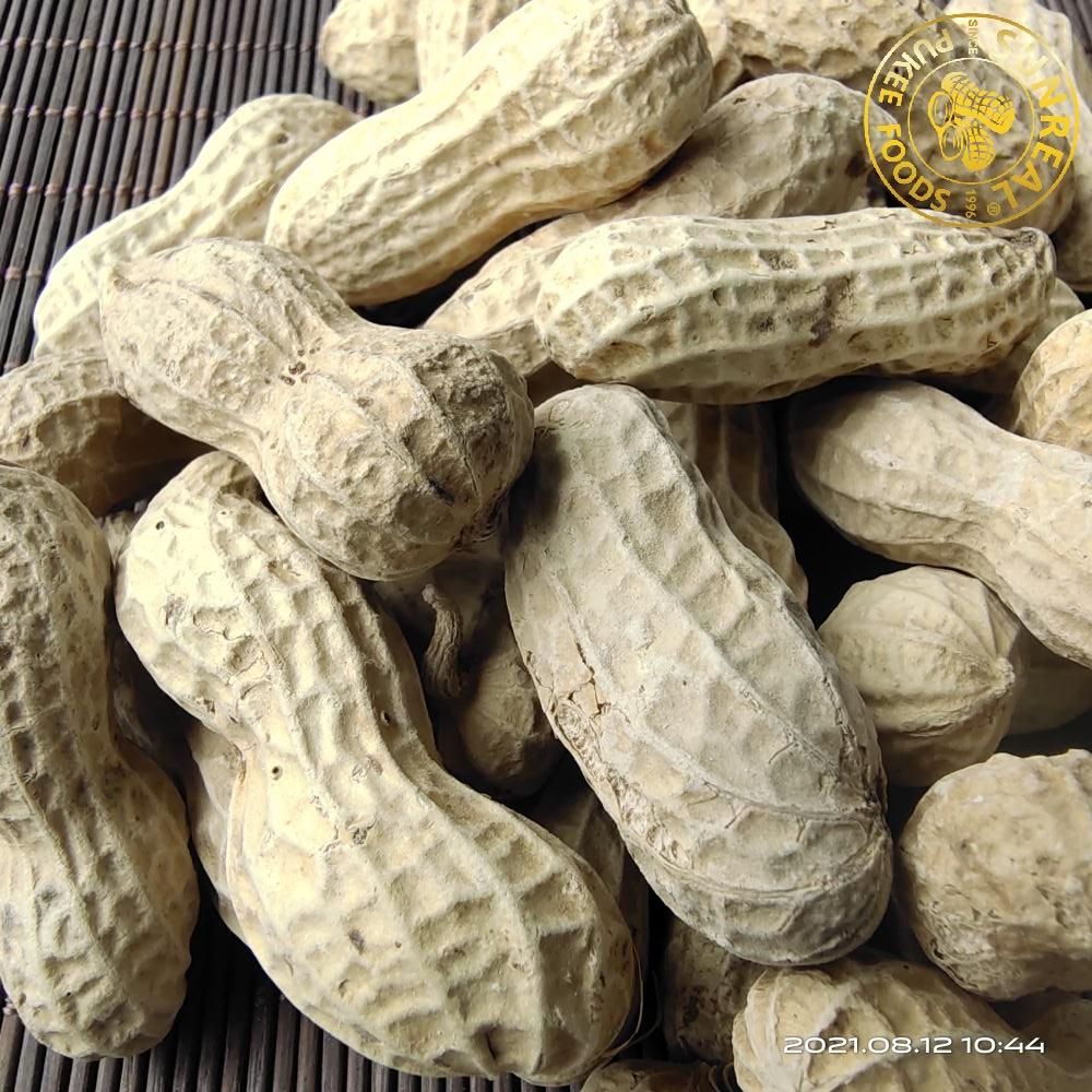 Roasted Virginia Peanut in Shell/Pukee Foods/Fine Technic/Fine Packing