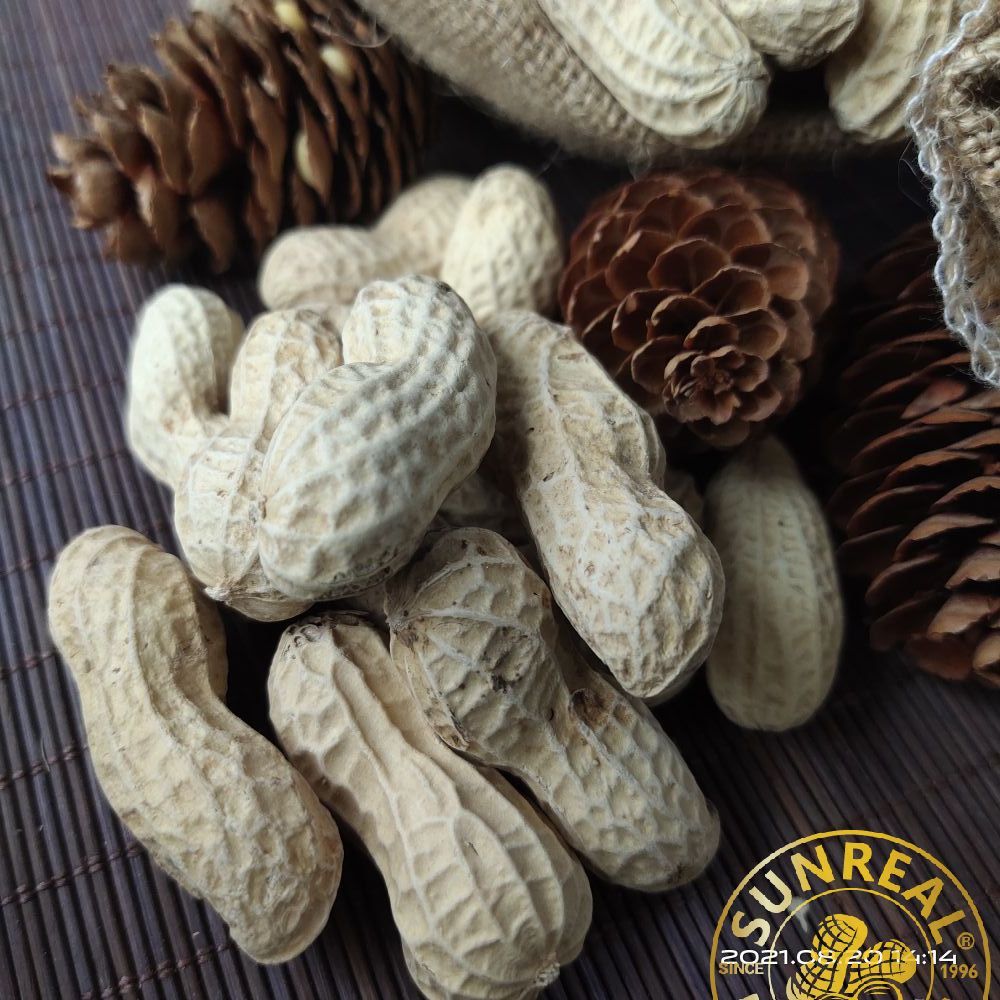 Roasted Virginia Peanut in Shell/Pukee Foods/Fine Technic/Fine Packing