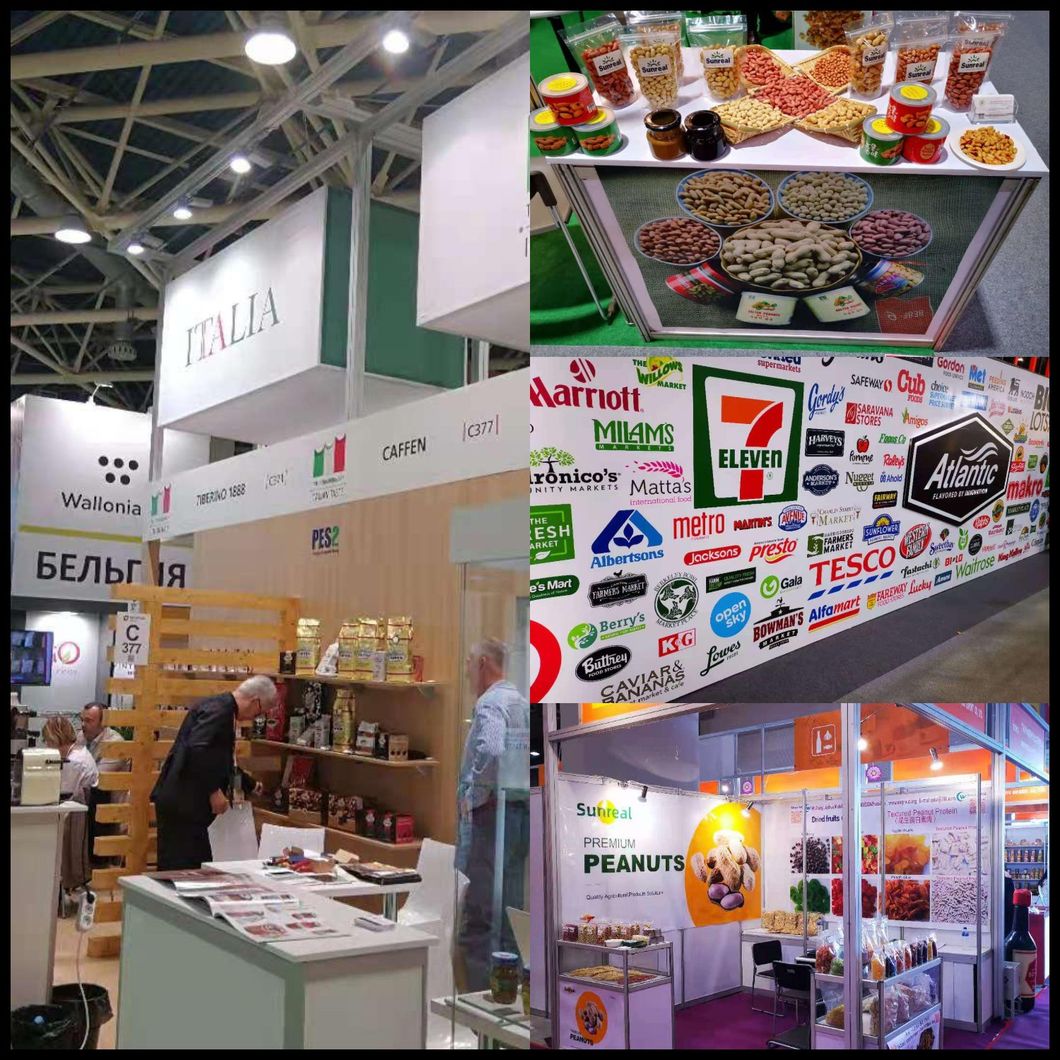 Roasted Virginia Peanut in Shell/Pukee Foods/Fine Technic/Fine Packing