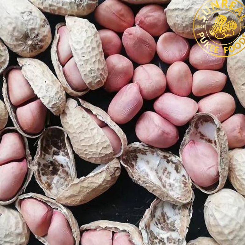 Roasted Virginia Peanut in Shell/Pukee Foods/Fine Technic/Fine Packing