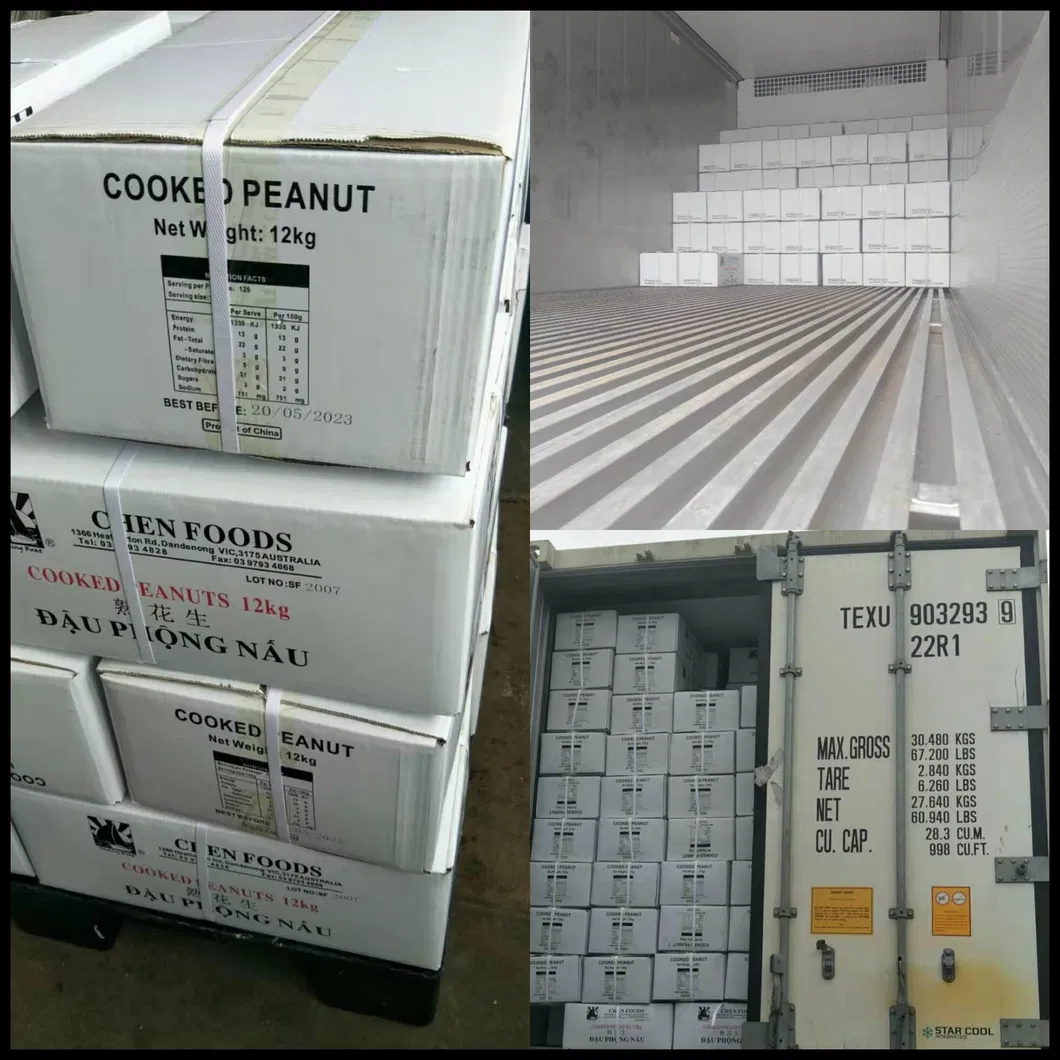 Salty Frozen Cooked Peanut in Shell/Hsuji From China/Delicious Snacks Food